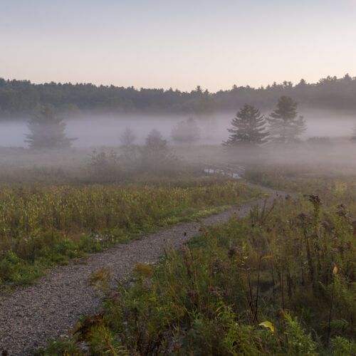 Morning mist in a field at the Highland Farm Preserve in York, Maine.