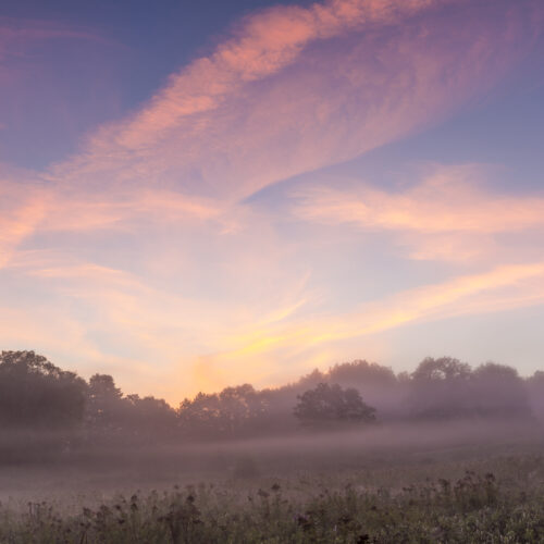 Morning mist in a field at dawn at the Highland Farm Preserve in York, Maine.