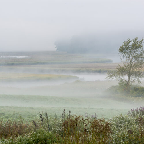 The York River winds through fog, fields, and salt marsh in York, Maine.