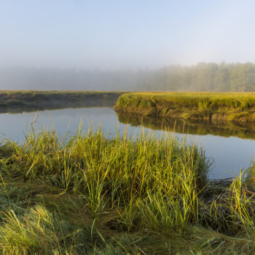 A salt marsh along the York River at the Smelt Brook Preserve in York, Maine.