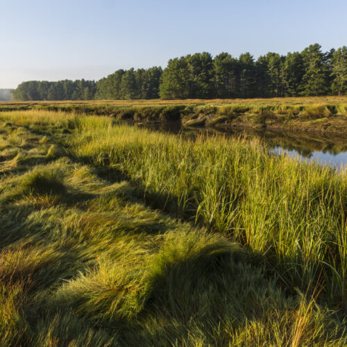 A salt marsh along the York River at the Smelt Brook Preserve in York, Maine.